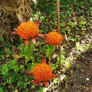 Persona formal,con ganas de trabajar !