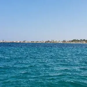 Cerco servizio di pulizia occasionale 