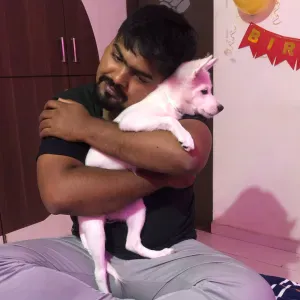 Pet sitting. ( Pet care ).. i have golden retriever 