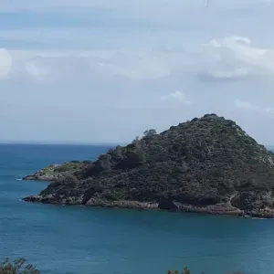 Offerta di lavoro per pulizie a Venaria Reale