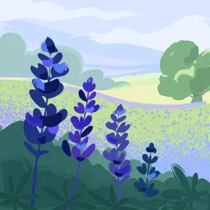 Je cherche un(e) dame de companie