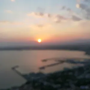 Pet-sitter à Lyon pour chien, chats et autres compagnons