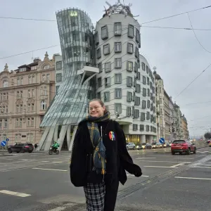 Pet sitter a six fours les plages 