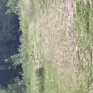 Aide menagere chez particuliers