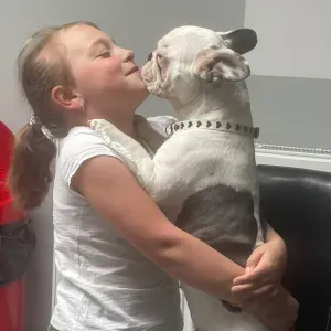 A la recherche d'un une pet-sitter