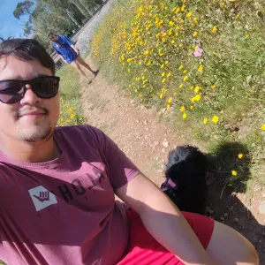 Pet Sitting em Lisboa/Sintra/Cascais