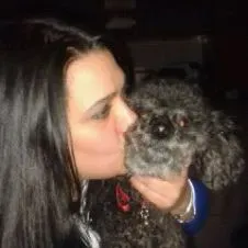 Os animais sao os anjos do Mundo