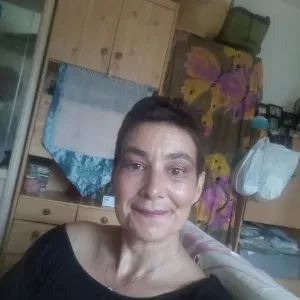 Garde de chiens et chats