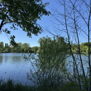 Recherche garde d'enfants à Sarrebourg