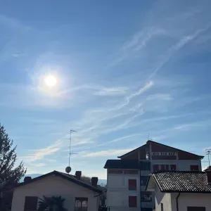 Pet sitting e passeggiate per cani e gatti a Gorizia