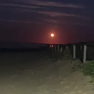 Cerco donna della pulizia