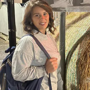 pulizie ordinarie e straordinarie