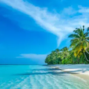 Femme de mengage Levallois Perret