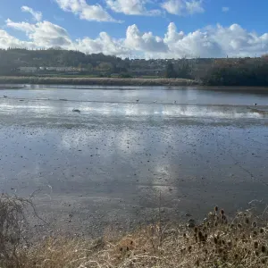  baby sitter avec 5 ans d'expérience . 