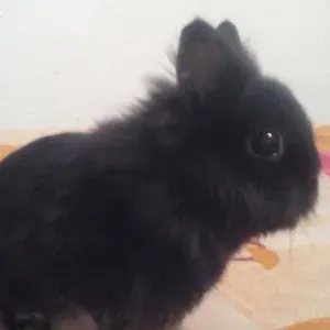 Femme de ménage en entreprise. 