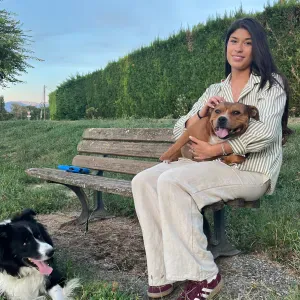 Soins pour animaux de compagnie 