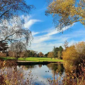  Femme de ménage sérieuse et efficace à Paris