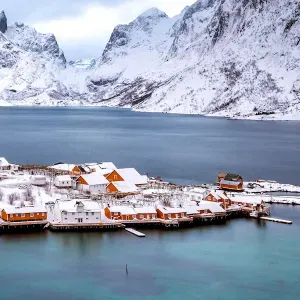 dyrepasningstjenester, Odense!