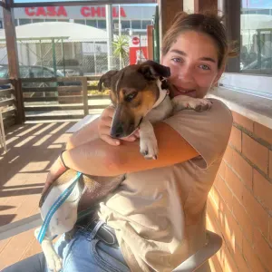Pet sitting em Portimão e arredores 