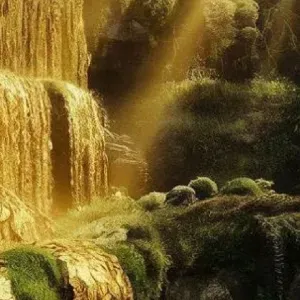  Badante premuroso/a con forte senso di responsabilità