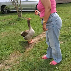 Je suis amoureuse d'animaux et je sens heureuse avec eux