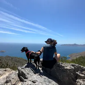 Auxiliar de Veterinaria en Murcia