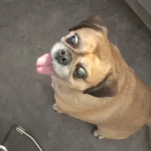 A la recherche d une nounou pour ma nenelle 