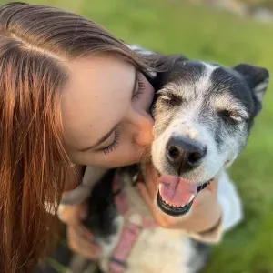 Pet sitter animaux en gironde 