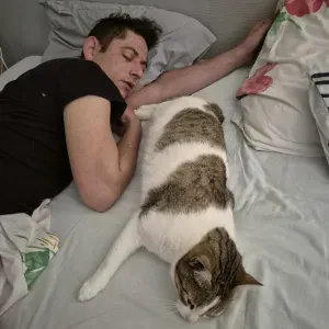 Pet-Sitter Lyon : besoin d'un relais de qualité !!!