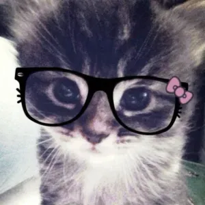 Pet sitter affidabile a Spresiano