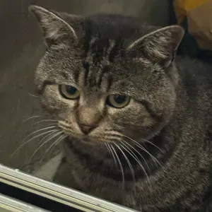 femme ménage le blanc mesnil à côté de moi 