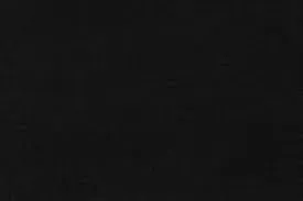 Pet Sitter - Cadaval, Disponibilidade Imediata