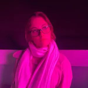 Femme de ménage à château du loir 