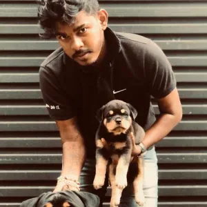 Pet sitting a Sri Lanka e a italia