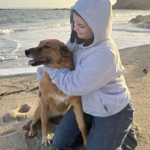 Pet située à Lorient pour tout type de chien et chat 