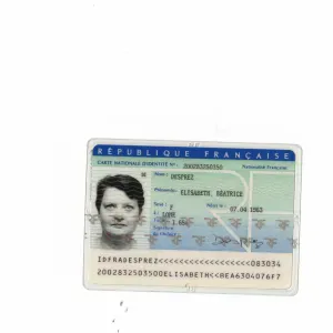 femme de ménage à Toulon ,Serinettes,Pont du Las,