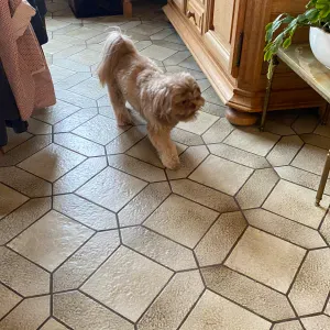 Recherche femme de ménage