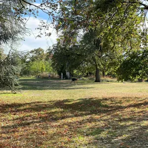 Recherche femme de ménage à Lyon croix rousse