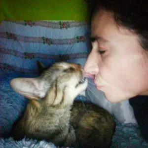 Aulas/explicações:Zambujeira do Mar,Amadora (Lisboa),Online