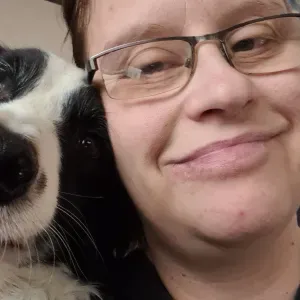 Pet- sitter belgique  Alleur  4432