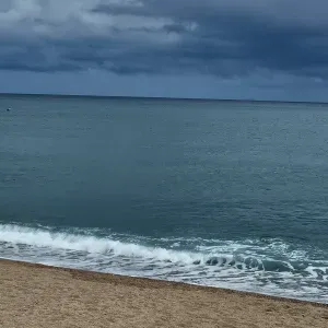 Busco Cuidador en Pineda de Mar