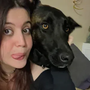 Pet sitter sur Narbonne et Narbonne plage. 