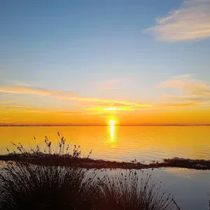 Lavoro pulizie a Verucchio