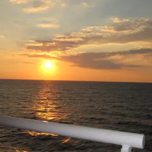 Cerco servizio di pulizia