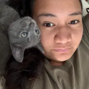 Petsitter recherche pour grand chien actif Et un petit chat 