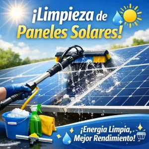 Experto en limpieza de paneles solares 
