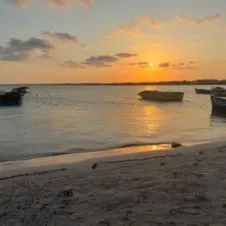 Prof particulier aide au devoir 