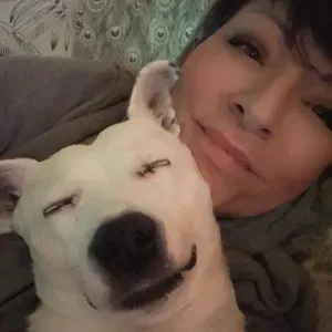 Pet sitting a Lugano e dintorni