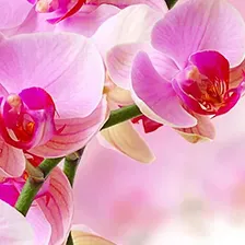 Recherche personne pour mes 3 enfants en sortie d'école 