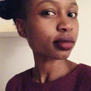 Recherche une femme de ménage expérimentée dans le 15ème 